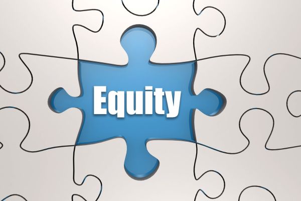 Issue of Equity Shares